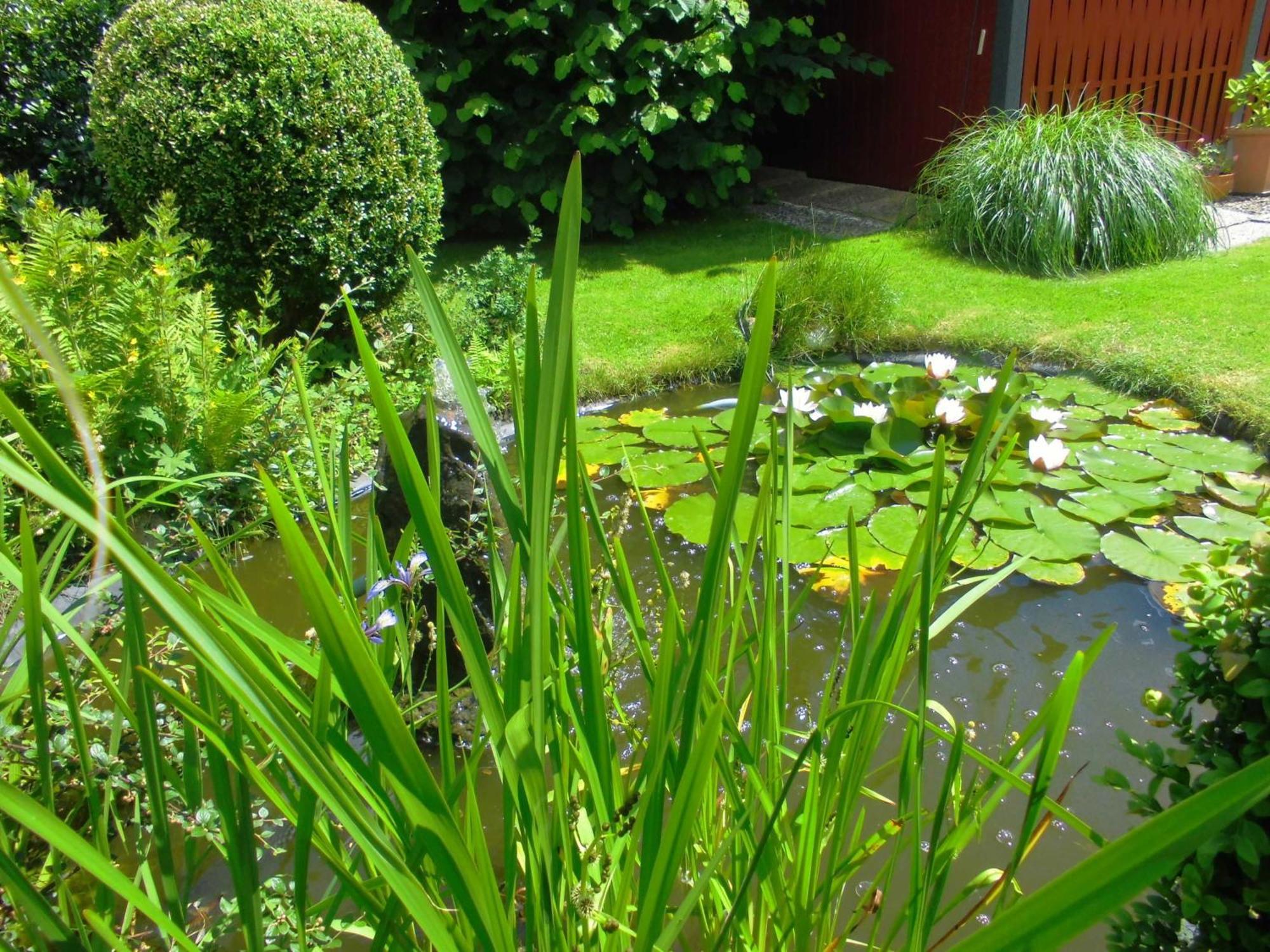 Homestay Und Einzelzimmer Schnoor In *